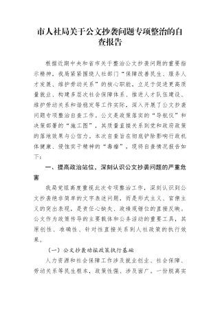 市人社局关于公文抄袭问题专项整治的自查报告