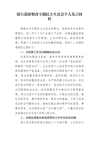 银行巡察整改专题民主生活会个人发言材料