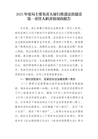 2025年度局主要负责人履行推进法治建设第一责任人职责情况的报告