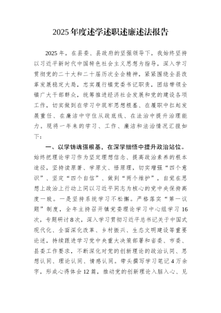 2025年度述学述职述廉述法报告