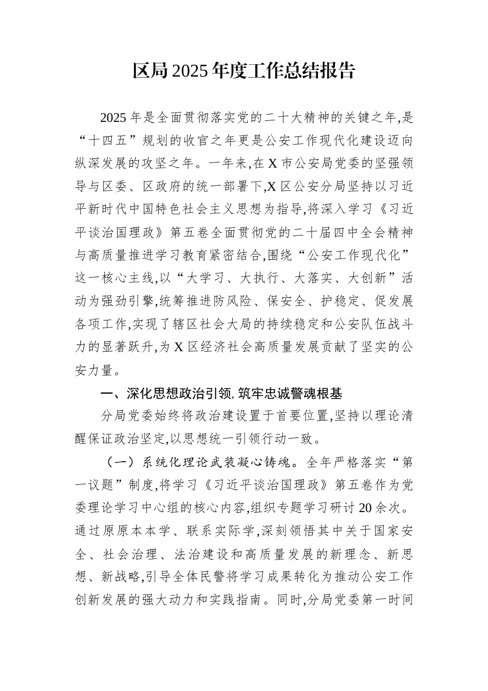 区局2025年度工作总结报告_第1页