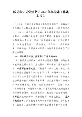 区县审计局党组书记2025年抓党建工作述职报告