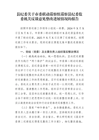 县纪委关于市委联动巡察组巡察县纪委监委机关反馈意见整改进展情况的报告