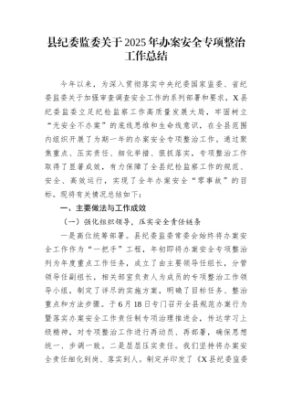 县纪委监委关于2025年办案安全专项整治工作总结
