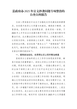 县政府办2025年公文抄袭问题专项整治的自查自纠报告