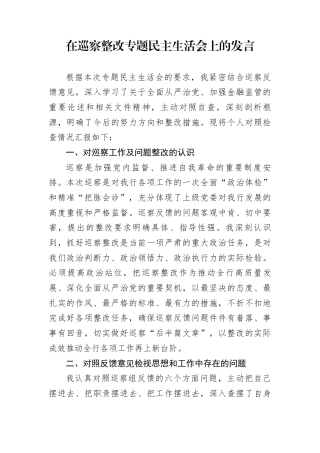 在巡察整改专题民主生活会上的发言