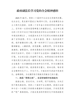 政府副县长学习党的全会精神感悟