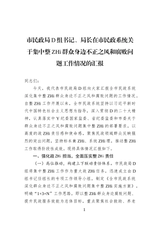 市民政局党组书记、局长在市民政系统关于集中整治群众身边不正之风和腐败问题工作情况的汇报