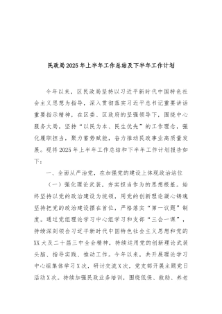 民政局2025年上半年工作总结及下半年工作计划