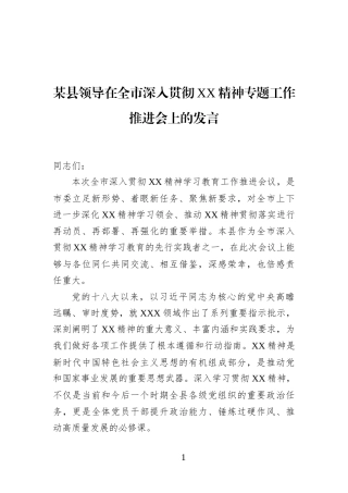 某县领导在全市深入贯彻XX精神专题工作推进会上的发言
