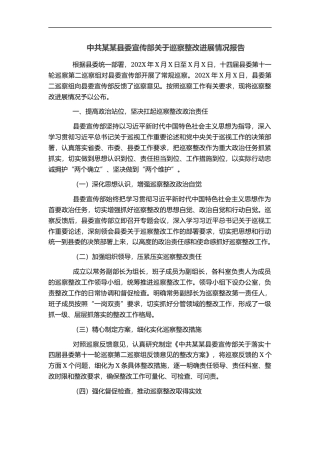 中共某某县委宣传部关于巡察整改进展情况报告