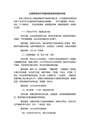 乡镇领导班子专题问题清单和整改举措