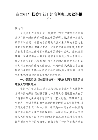 在2025年县委年轻干部培训班上的党课报告