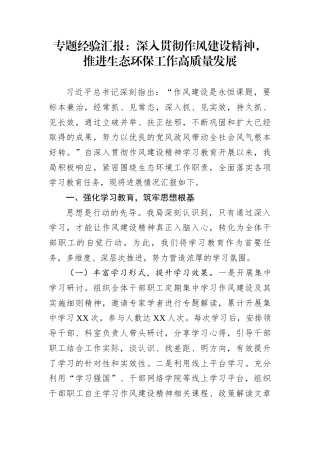 专题经验汇报：深入贯彻作风建设精神，推进生态环保工作高质量发展