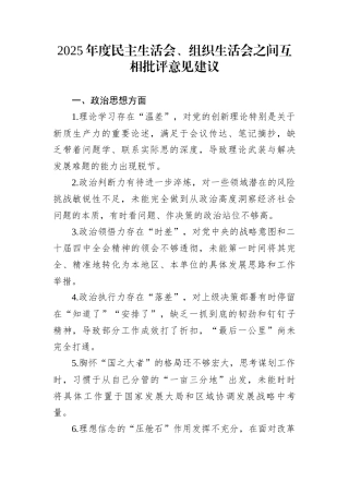 2025年度民主生活会、组织生活会之间互相批评意见建议