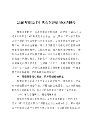 2025年度民主生活会召开情况总结报告
