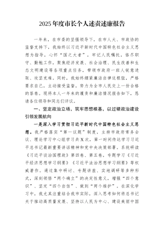 2025年度市长个人述责述廉报告