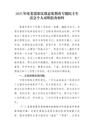 2025年度委巡察反馈意见整改专题民主生活会个人对照检查材料