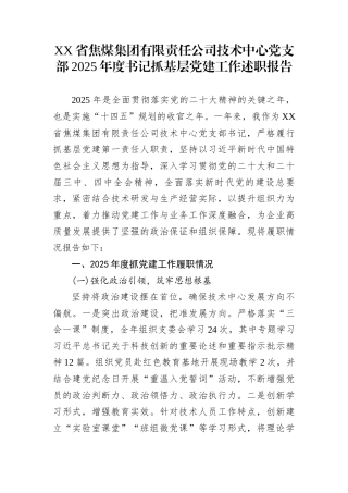 XX省焦煤集团有限责任公司技术中心党支部2025年度书记抓基层党建工作述职报告