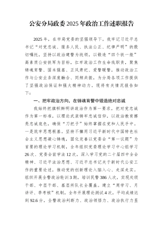 公安分局政委2025年政治工作述职报告