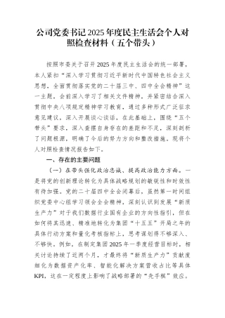 公司党委书记2025年度民主生活会个人对照检查材料（五个带头）
