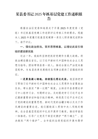 某县委书记2025年抓基层党建工作述职报告
