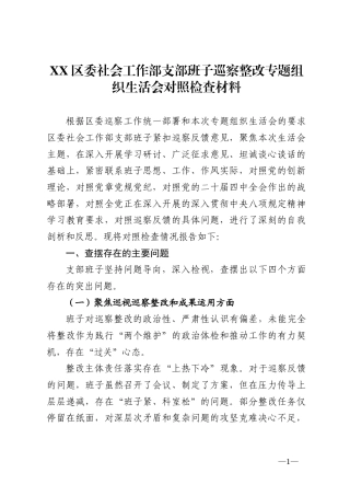 区委社会工作部支部班子巡察整改专题组织生活会对照检查材料