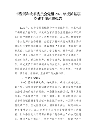 市发展和改革委员会党组2025年度抓基层党建工作述职报告