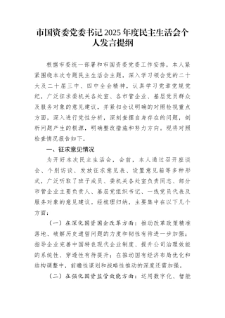 市国资委党委书记2025年度民主生活会个人发言提纲