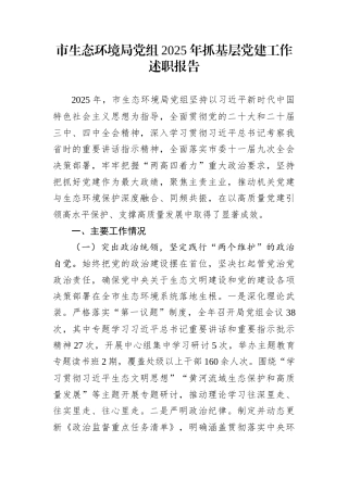 市生态环境局党组2025年抓基层党建工作述职报告
