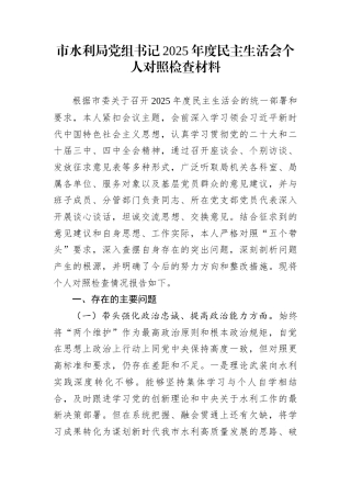 市水利局党组书记2025年度民主生活会个人对照检查材料