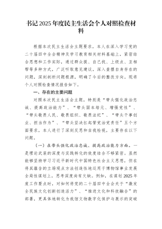 书记2025年度民主生活会个人对照检查材料
