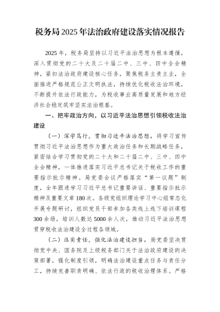 税务局2025年法治政府建设落实情况报告