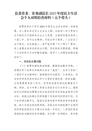 县委常委、常务副县长2025年度民主生活会个人对照检查材料（五个带头）