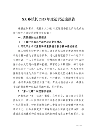 乡镇长2025年度述责述廉报告