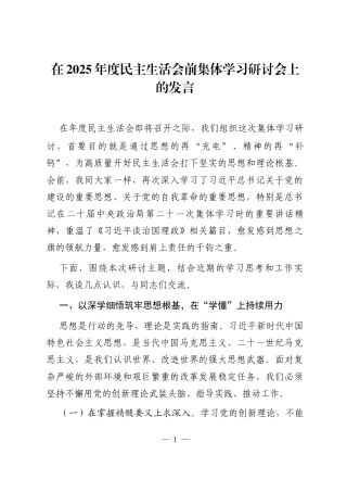 在2025年度民主生活会前集体学习研讨会上的发言