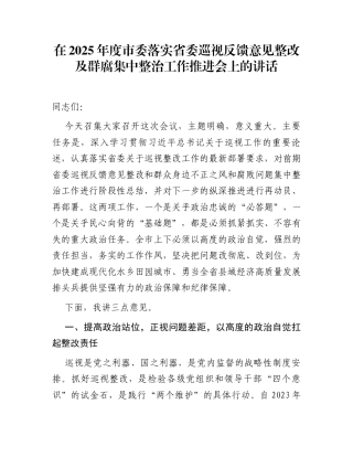 在2025年度市委落实省委巡视反馈意见整改及群腐集中整治工作推进会上的讲话