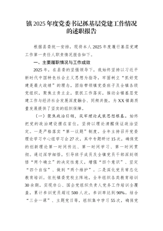 镇2025年度党委书记抓基层党建工作情况的述职报告
