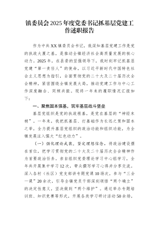 镇委员会2025年度党委书记抓基层党建工作述职报告