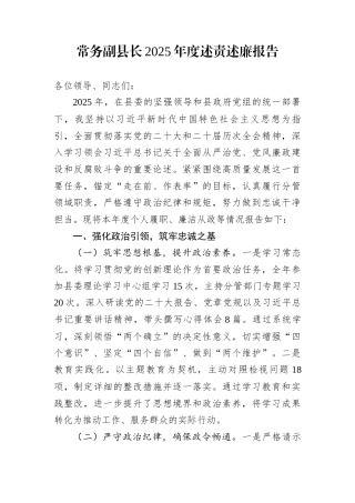 常务副县长2025年度述责述廉报告