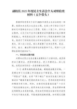 副校长2025年度民主生活会个人对照检查材料（五个带头）
