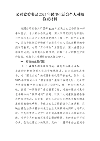 公司党委书记2025年民主生活会个人对照检查材料