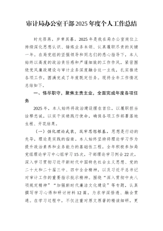 审计局办公室干部2025年度个人工作总结