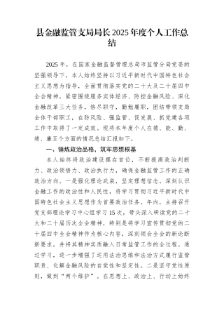 县金融监管支局局长2025年度个人工作总结