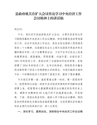 县政府机关在扩大会议传达学习中央经济工作会议精神上的讲话稿