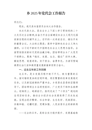 乡2025年党代会工作报告