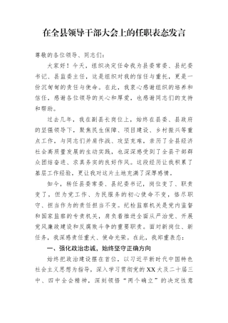 在全县领导干部大会上的任职表态发言