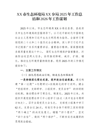 XX市生态环境局XX分局2025年工作总结和2026年工作谋划
