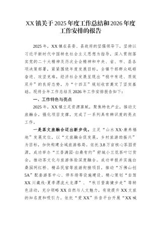 XX镇关于2025年度工作总结和2026年度工作安排的报告