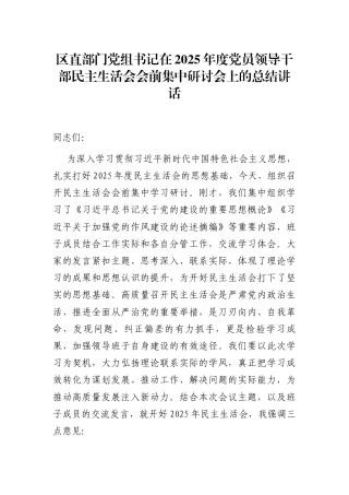 （会前）区直部门党组书记在2025年度党员领导干部民主生活会会前集中研讨会上的总结讲话
